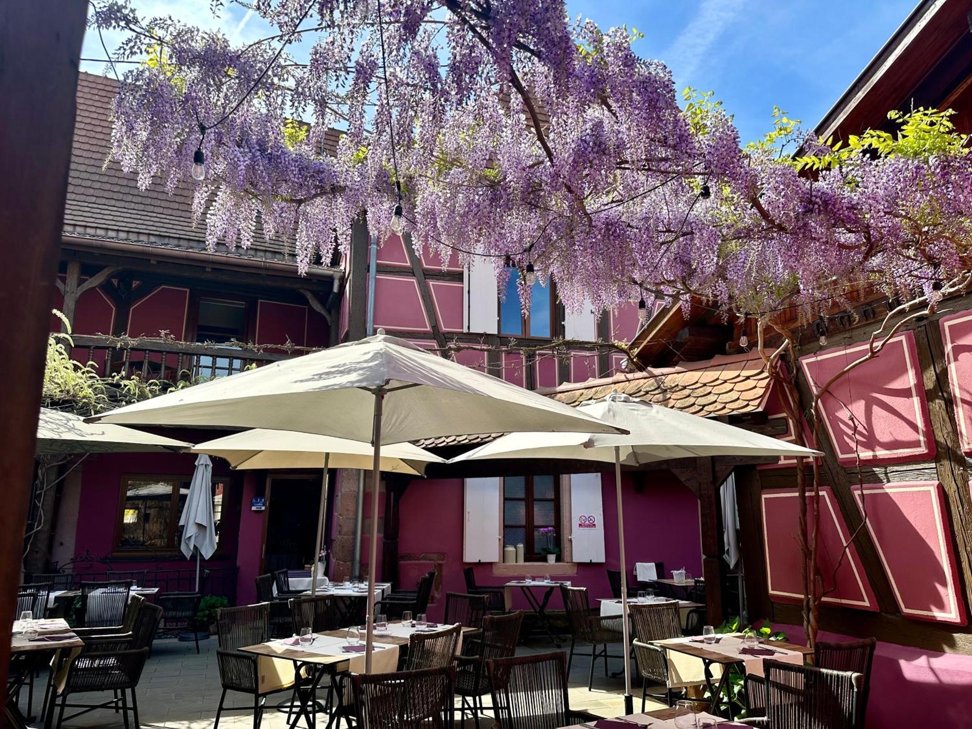 Auberge Le Meisenberg Châtenois Εξωτερικό φωτογραφία